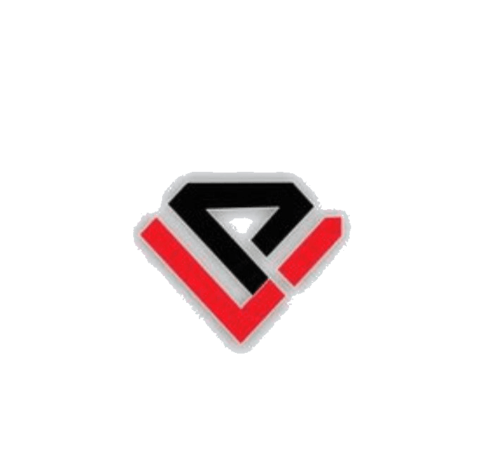 VinSeedX Logo